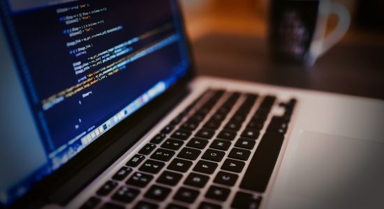 Full Stack Developers