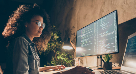 Salesforce Developer