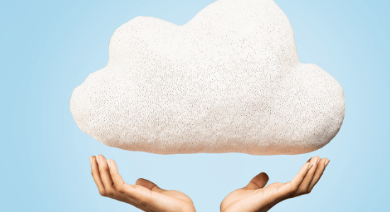 Salesforce Ecosystem